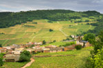 Bourgogne Weinberge in Solutre