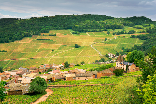 Burgundische Weinberge von Solutre Dorf