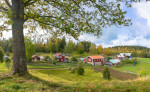 Huizen op het Zweedse platteland
