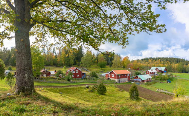 Häuser in der schwedischen Landschaft
