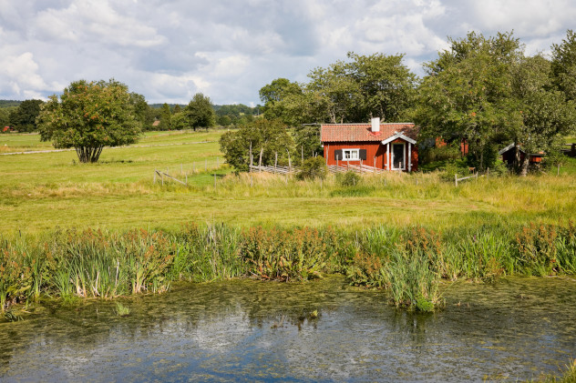 Cottage in the countryside in Sweden